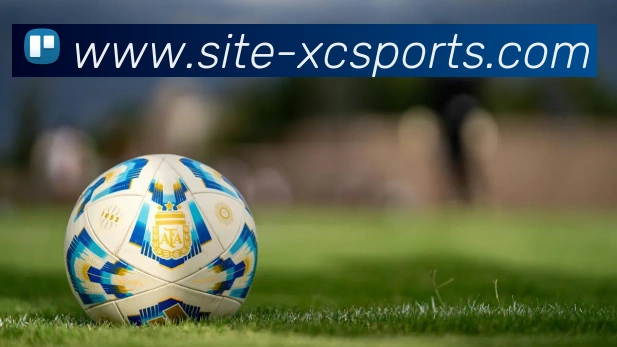 球赛投注平台生态图