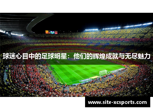 球迷心目中的足球明星：他们的辉煌成就与无尽魅力