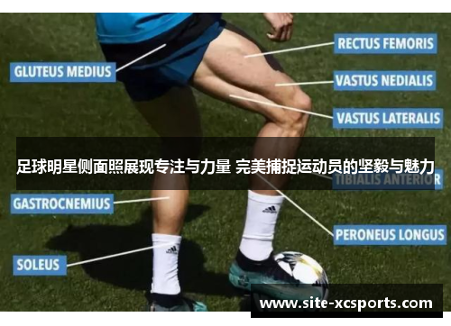 足球明星侧面照展现专注与力量 完美捕捉运动员的坚毅与魅力