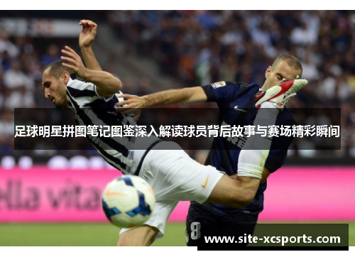 足球明星拼图笔记图鉴深入解读球员背后故事与赛场精彩瞬间
