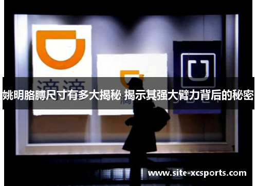 姚明胳膊尺寸有多大揭秘 揭示其强大臂力背后的秘密