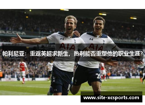 帕利尼亚：重返英超求新生，热刺能否重塑他的职业生涯？